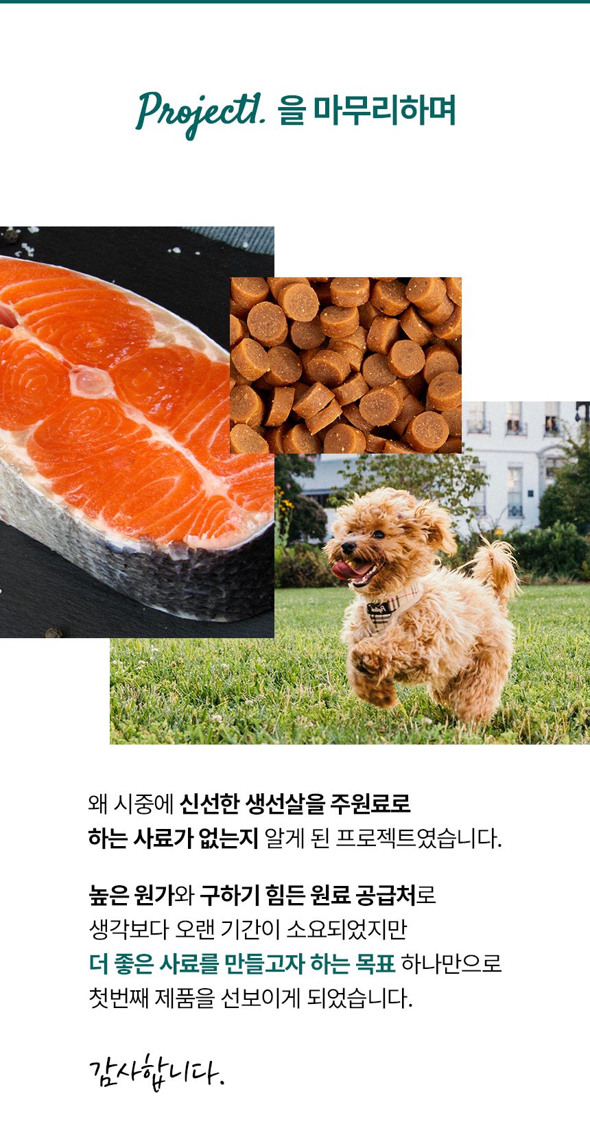 [무료배송] 본아페티 플러스 강아지 눈물 눈 건강 연어 수제사료 저알러지 프리미엄 사료 1KG 23번째