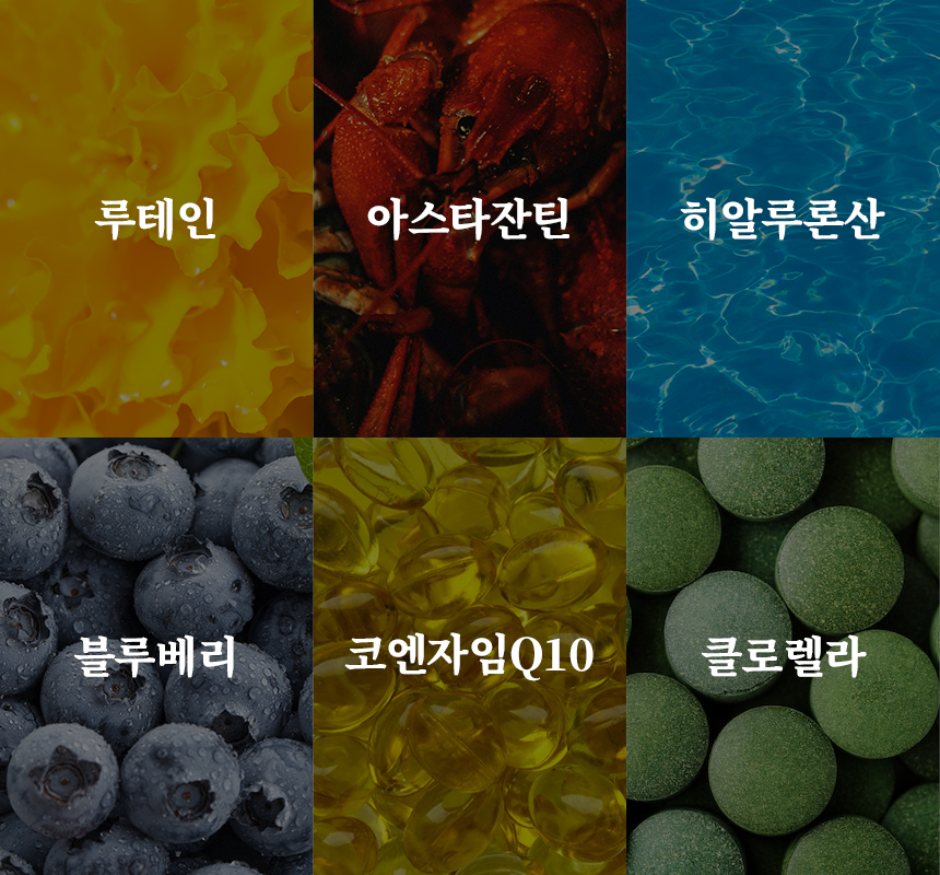 [무료배송] 본아페티 플러스 강아지 눈물 눈 건강 연어 수제사료 저알러지 프리미엄 사료 1KG 21번째
