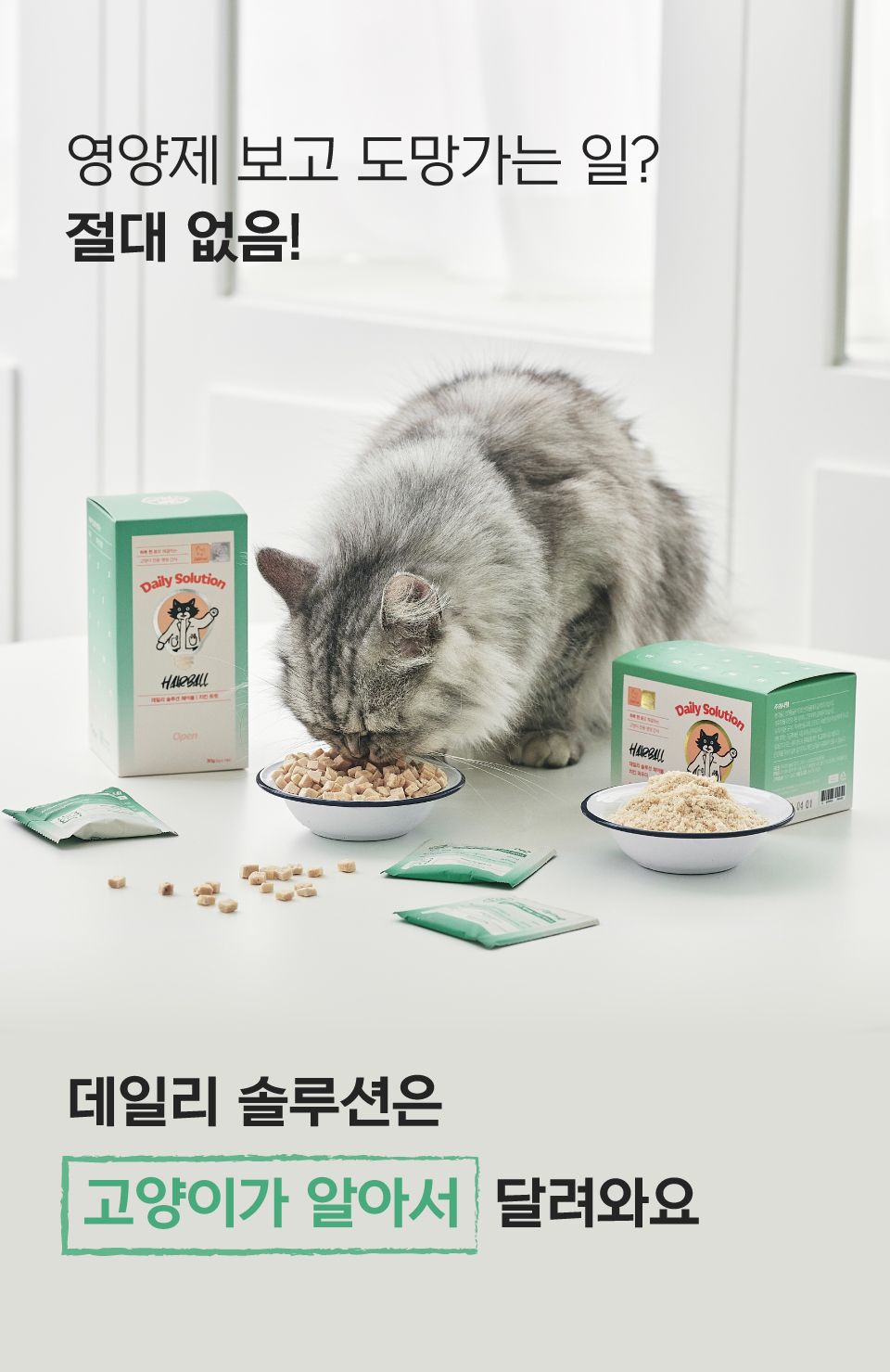 닥터펠리스 캣 데일리솔루션 헤어볼 트릿 영양제 30g 12번째