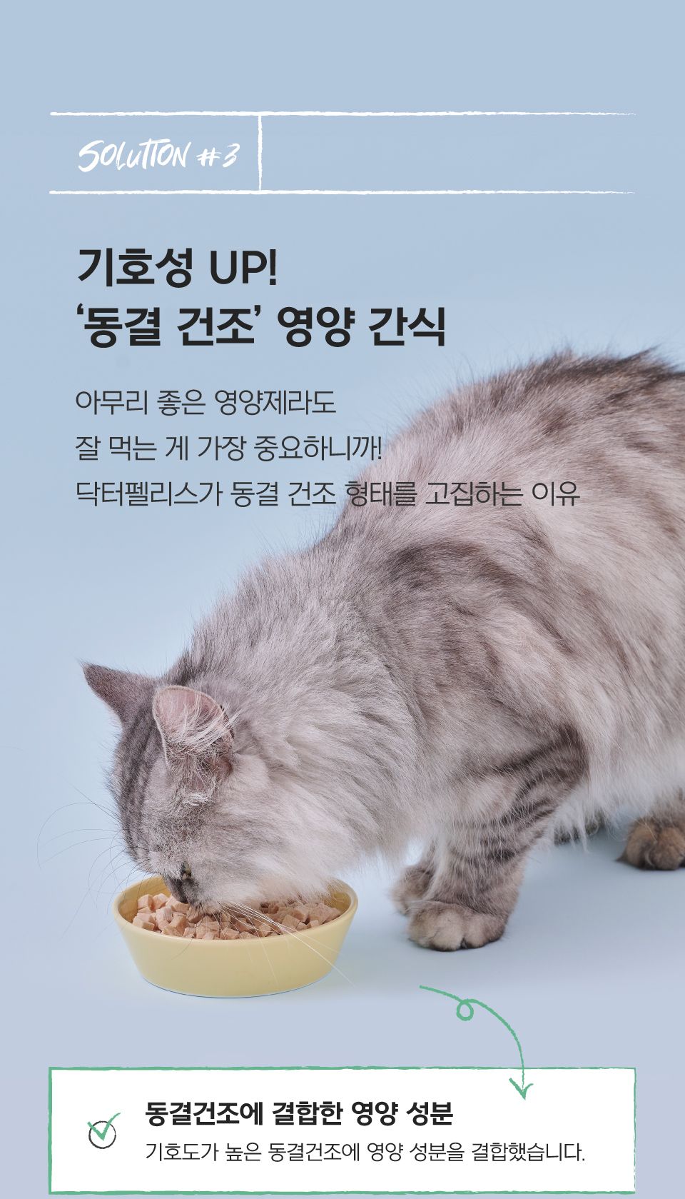 닥터펠리스 캣 데일리솔루션 헤어볼 트릿 영양제 30g 23번째