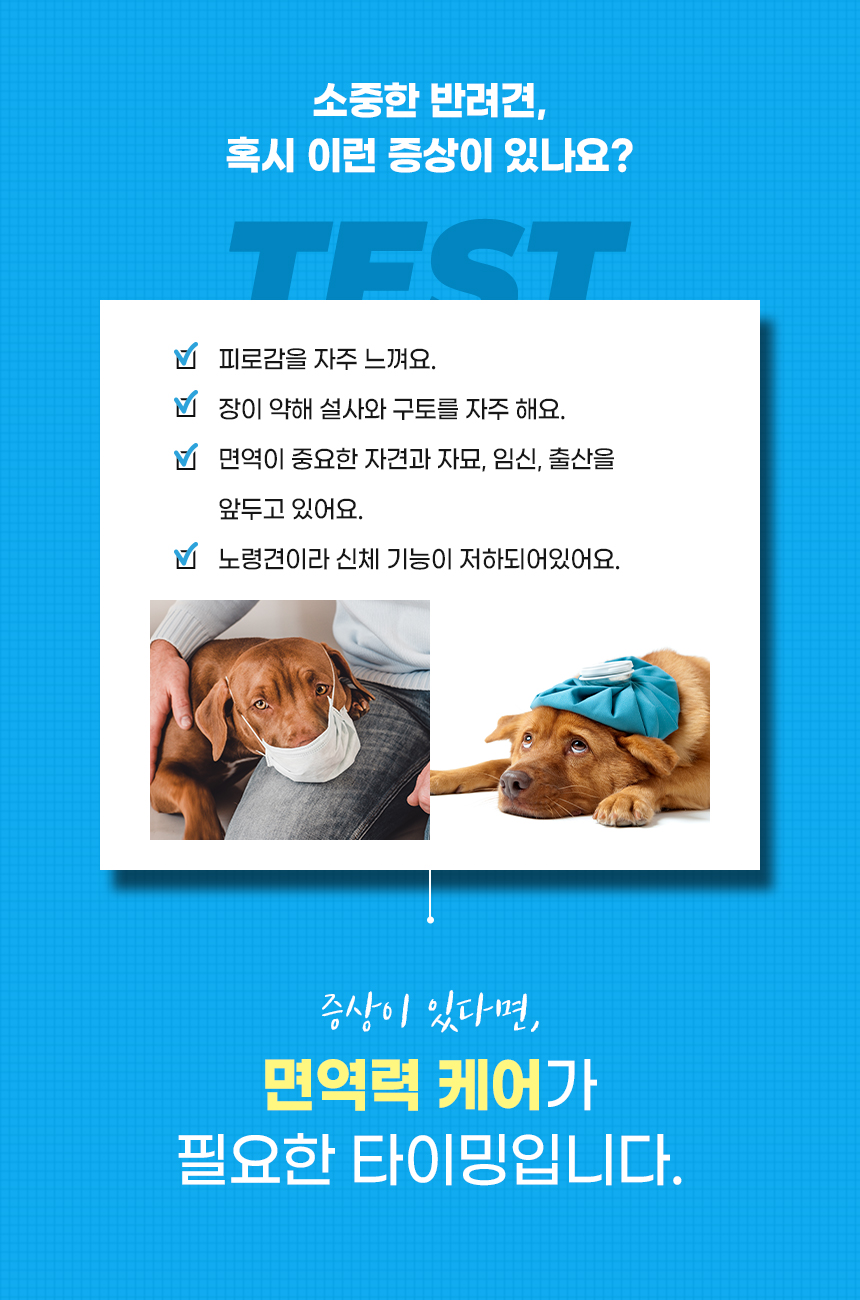 [무료배송] 본아페티 이뮤니티캡스 강아지 면역력 영양제 오메가3 유산균 노령견 애견 면역 60정 7번째