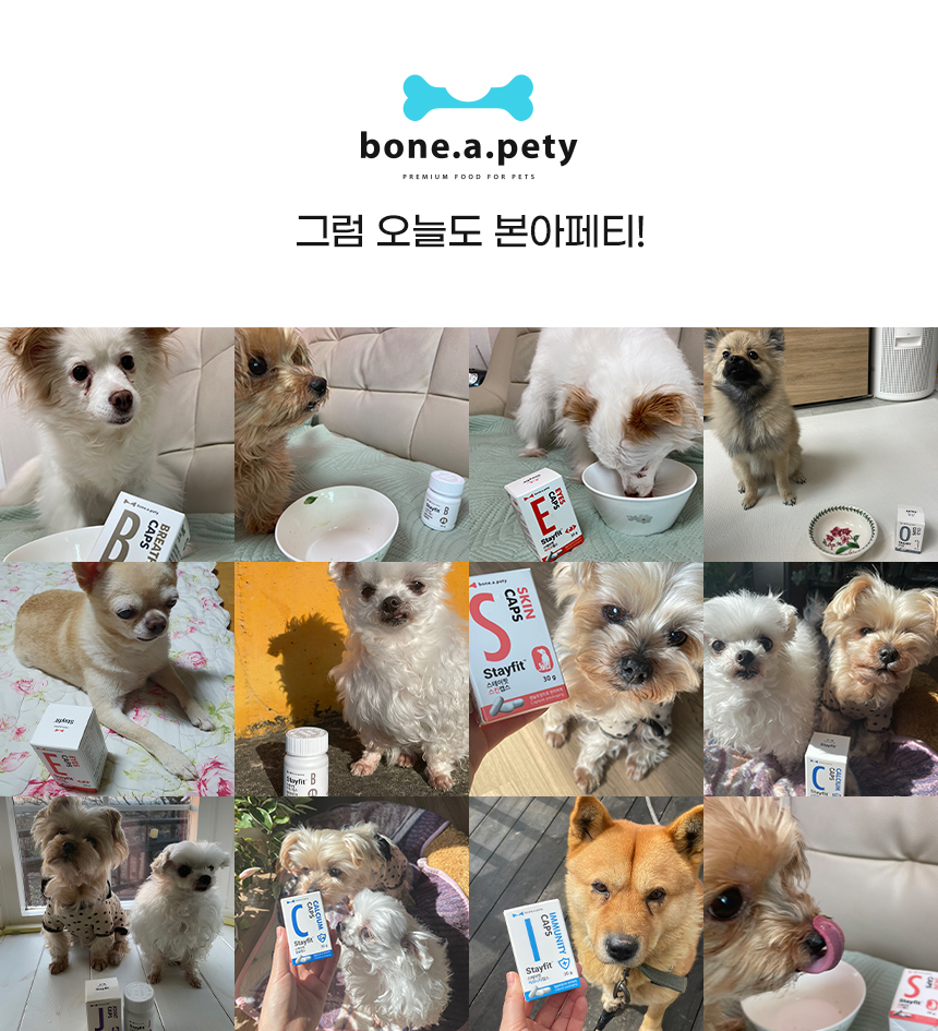 [무료배송] 본아페티 이뮤니티캡스 강아지 면역력 영양제 오메가3 유산균 노령견 애견 면역 60정 4번째