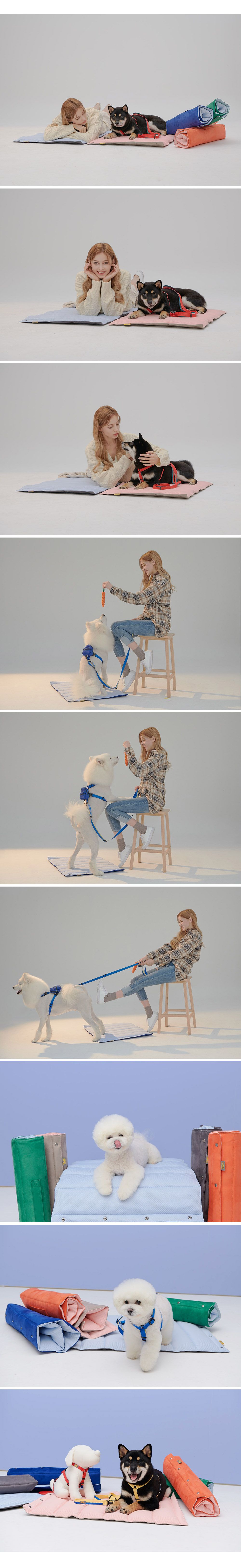 [무료배송] 스펠 포인트 쿠션 그레이 4번째