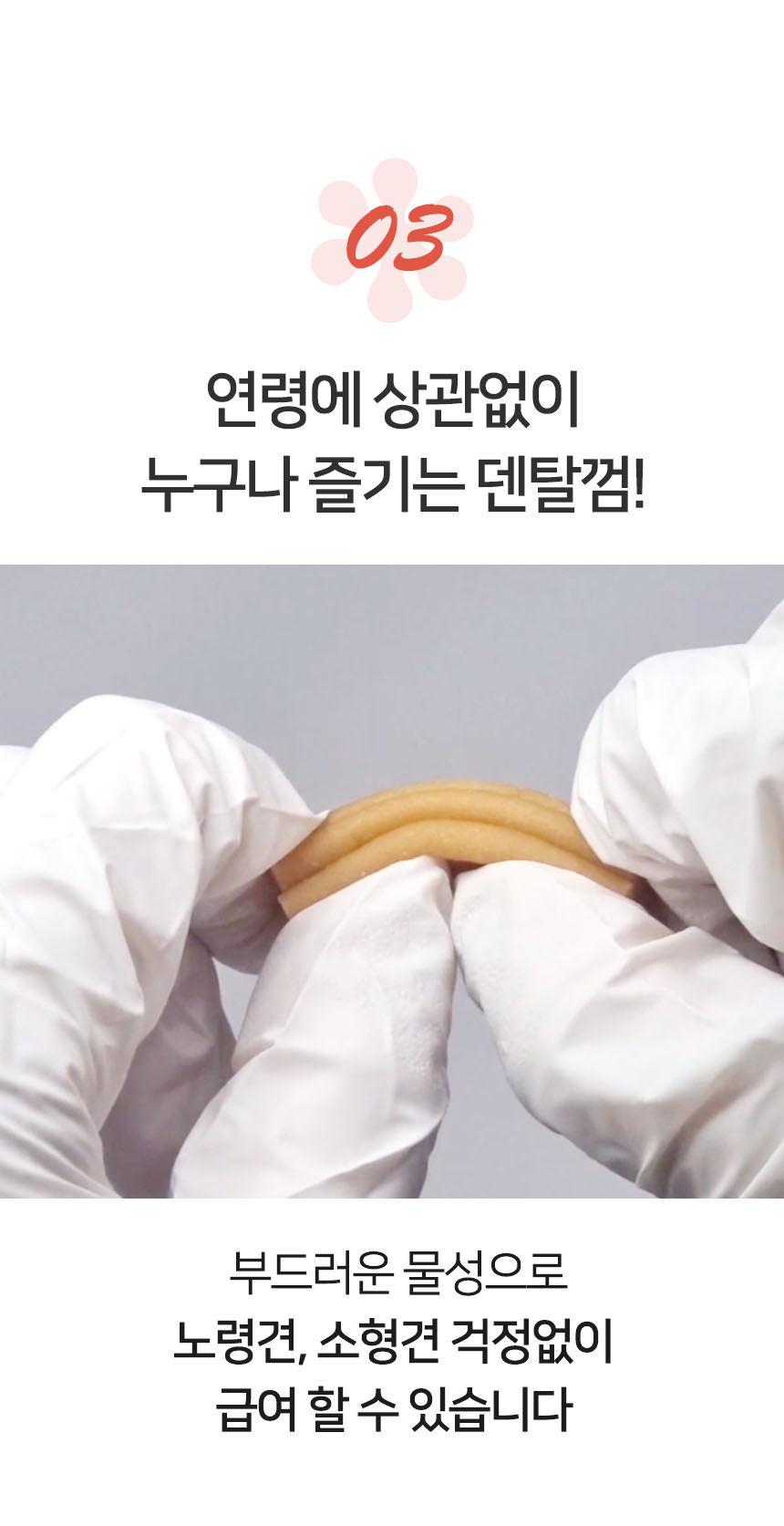 [무료배송] 펫토리아 한입뚝딱 덴탈츄 강아지 껌 간식 330g [모음] 15번째