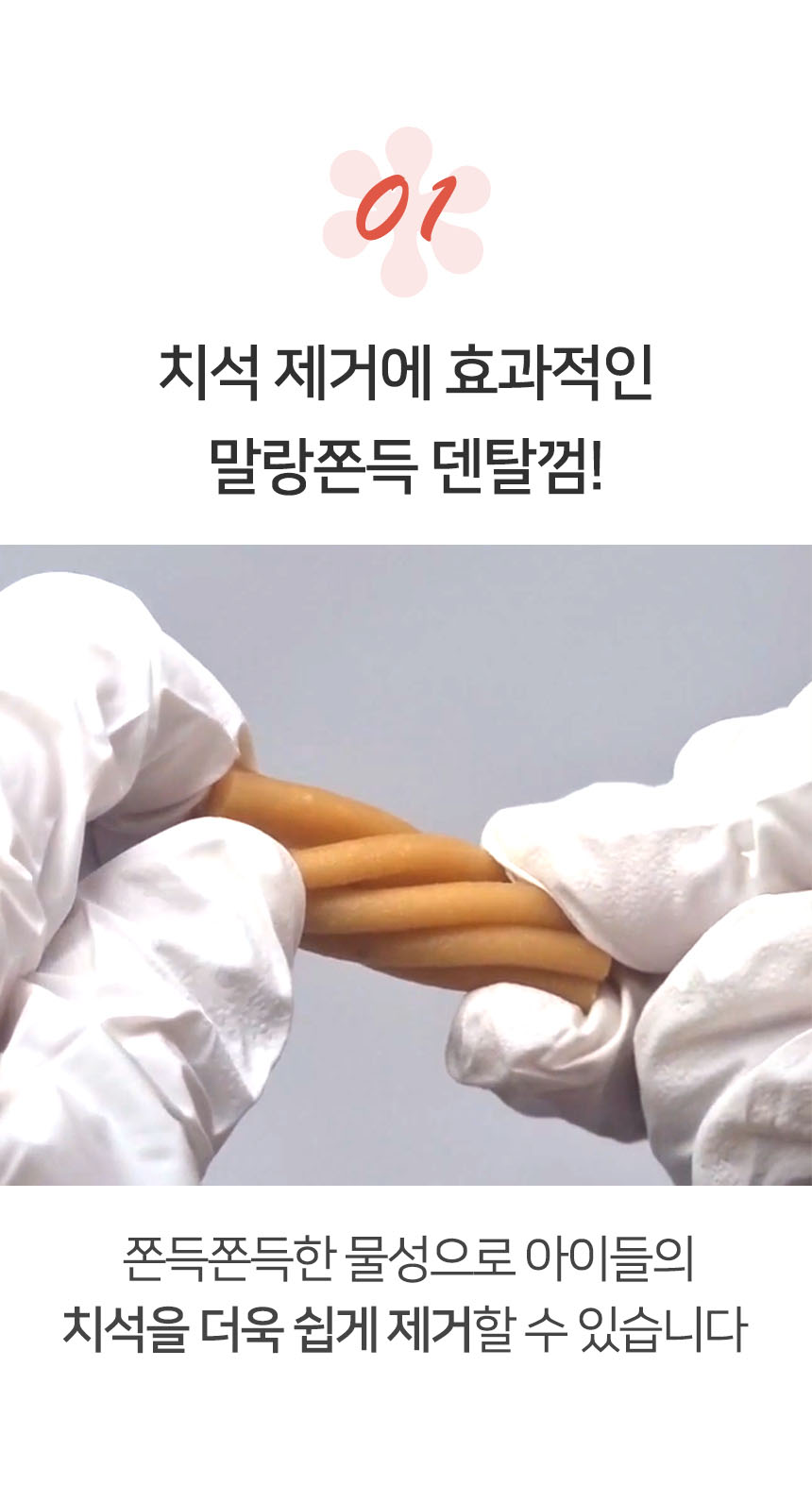 [무료배송] 펫토리아 한입뚝딱 덴탈츄 강아지 껌 간식 330g [모음] 9번째