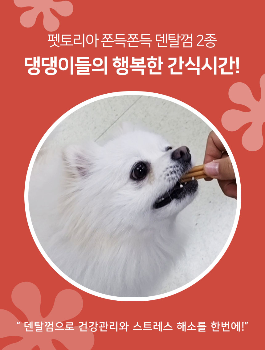 [무료배송] 펫토리아 한입뚝딱 덴탈츄 강아지 껌 간식 330g [모음] 8번째