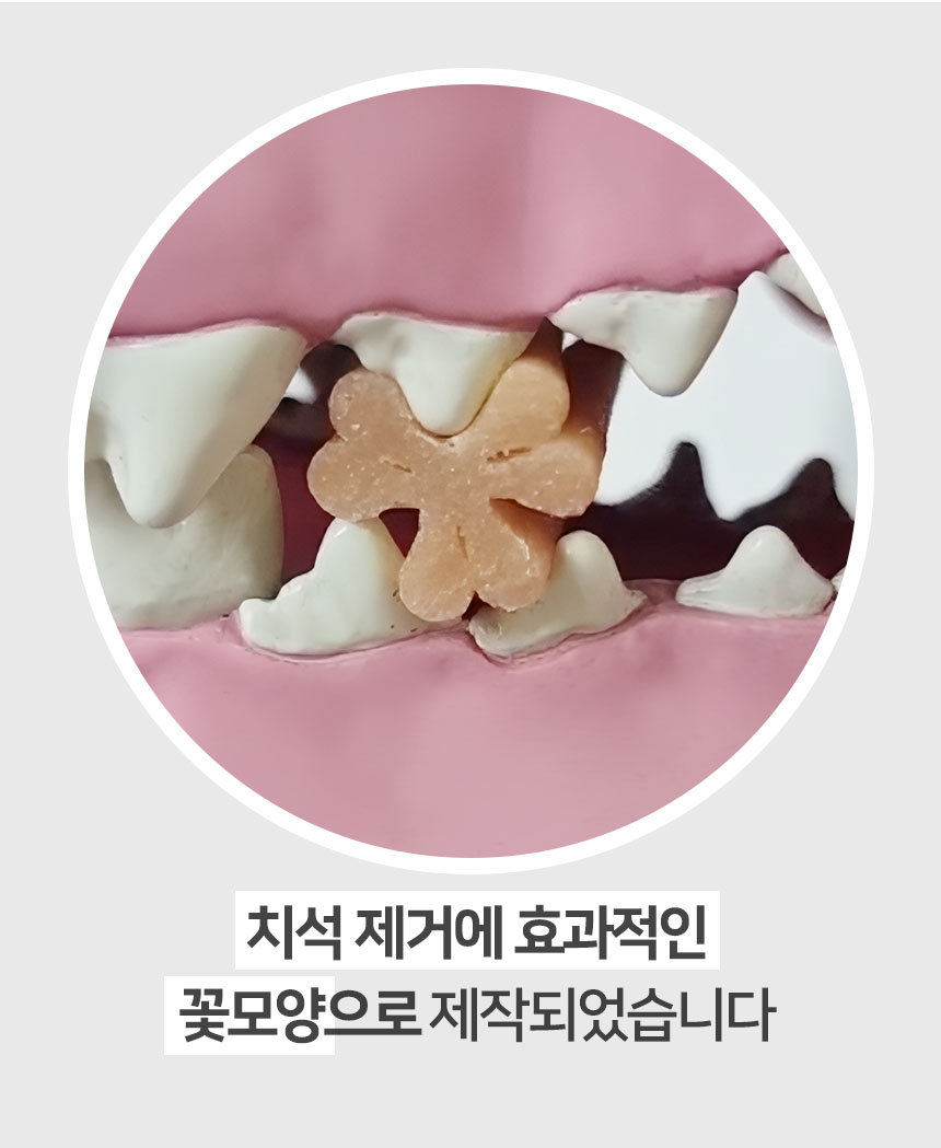 [무료배송] 펫토리아 한입뚝딱 덴탈츄 강아지 껌 간식 330g [모음] 10번째