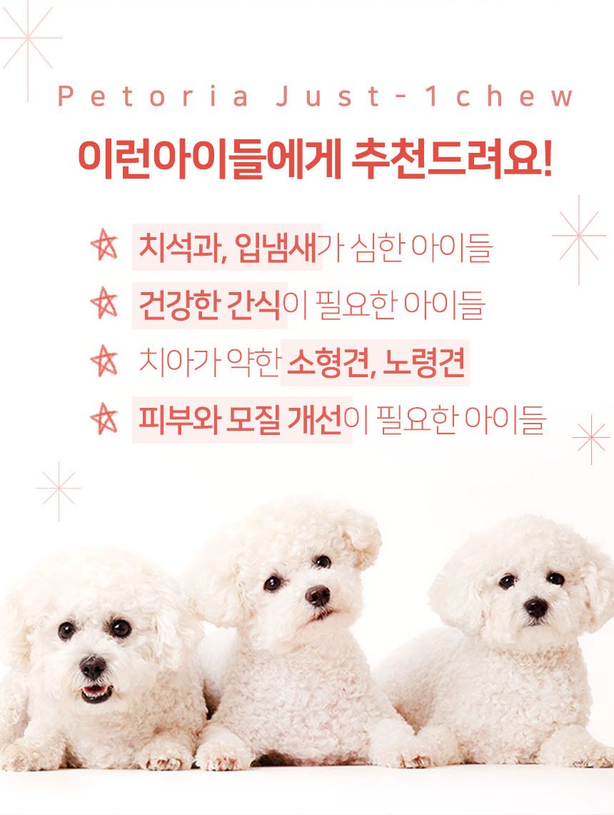 [무료배송] 펫토리아 한입뚝딱 덴탈츄 강아지 껌 간식 330g [모음] 6번째