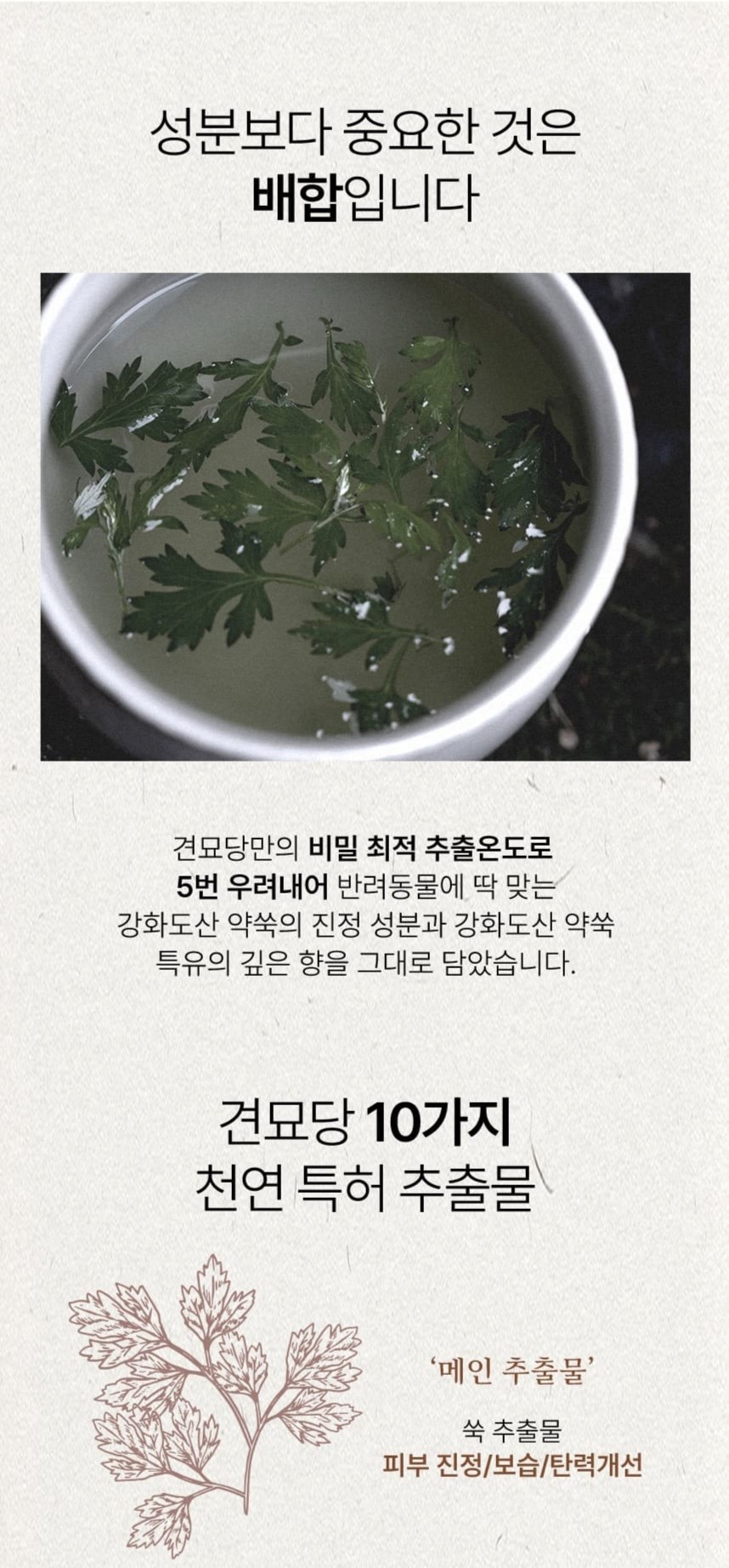 [무료배송] 견묘당 맑은 쑥 보습 샴푸 300ml 8번째