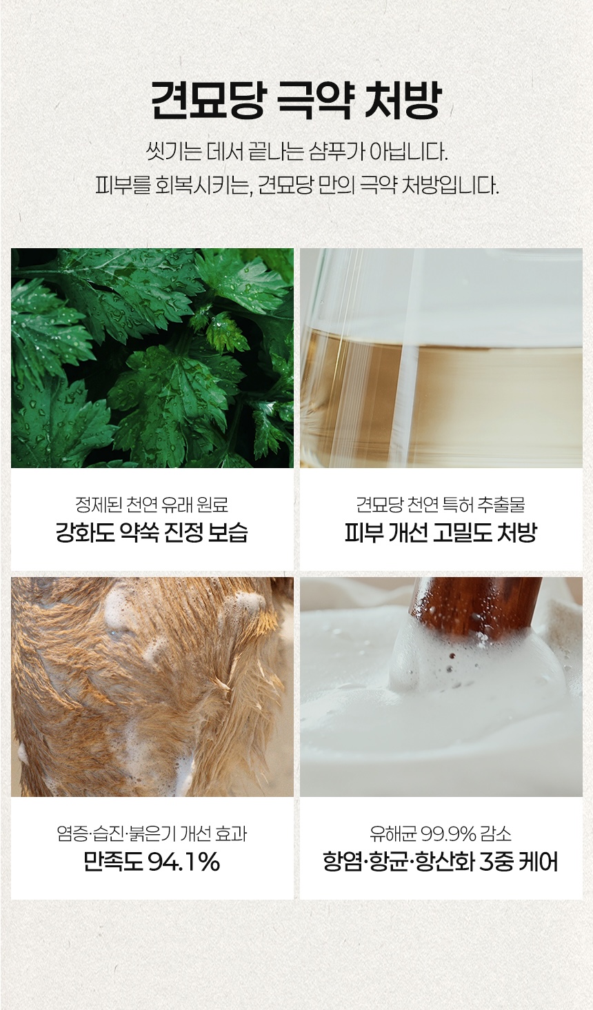 [무료배송] 견묘당 맑은 쑥 보습 샴푸 300ml 3번째