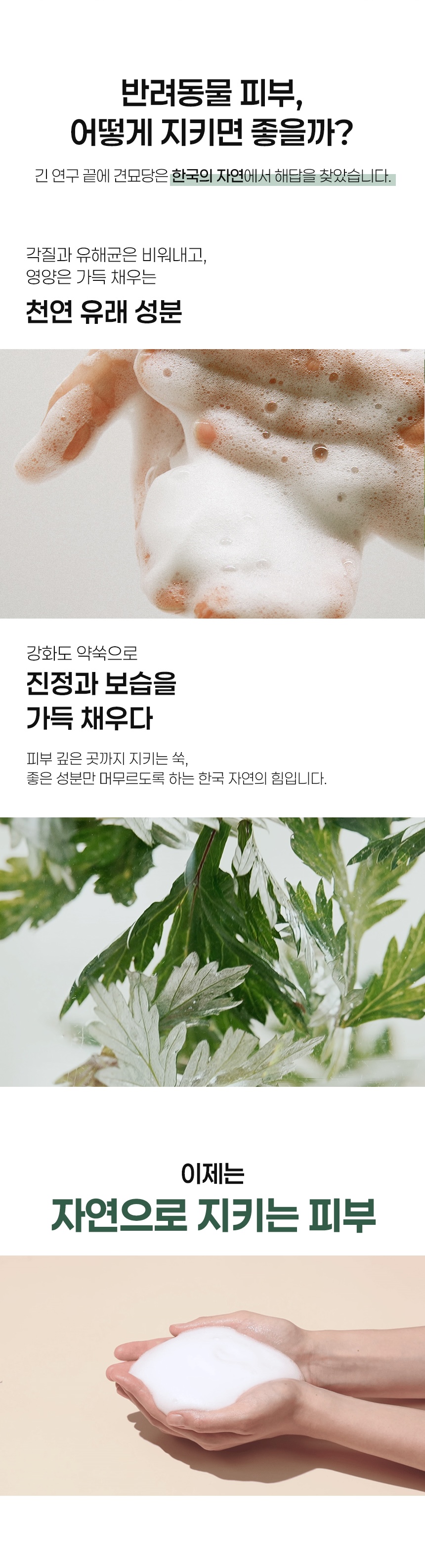 [무료배송] 견묘당 맑은 쑥 보습 샴푸 300ml 8번째