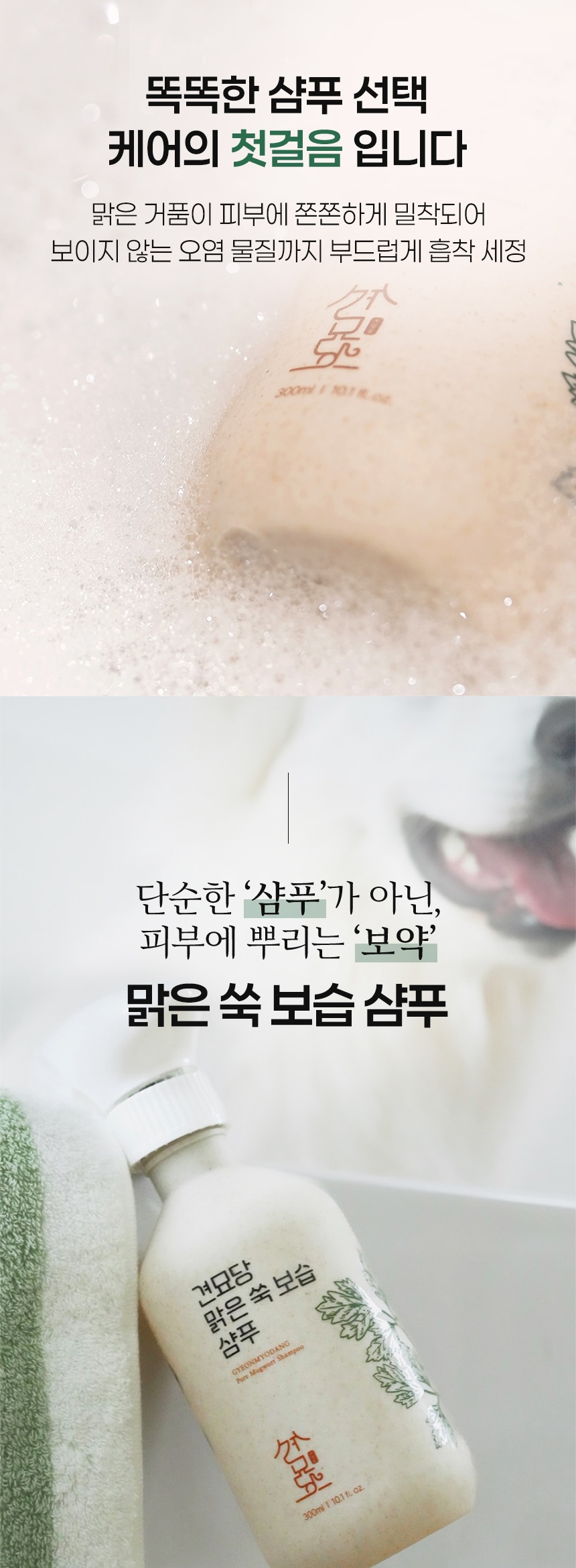 [무료배송] 견묘당 맑은 쑥 보습 샴푸 300ml 6번째