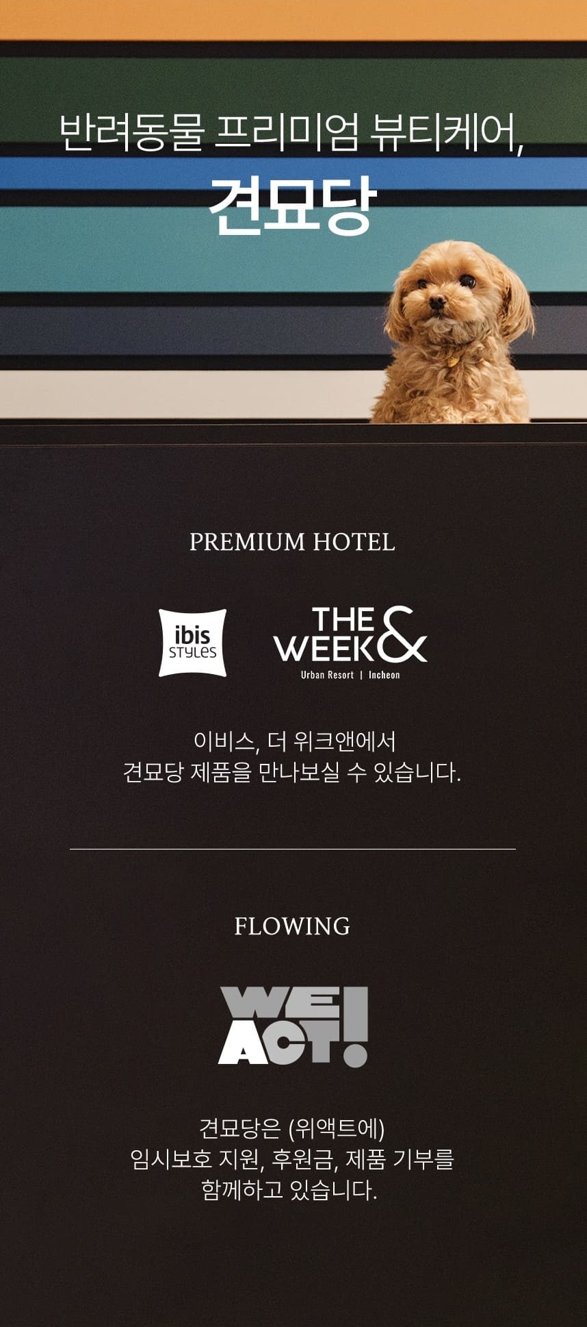 [무료배송] 견묘당 맑은 쑥 보습 샴푸 300ml 13번째