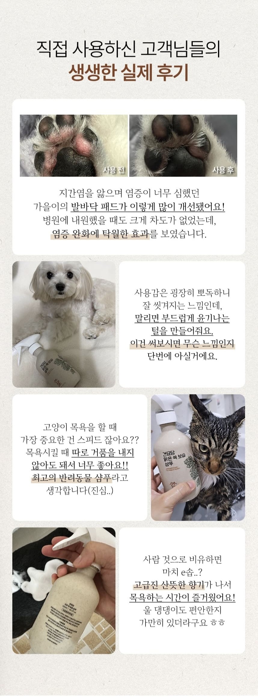 [무료배송] 견묘당 맑은 쑥 보습 샴푸 300ml 3번째
