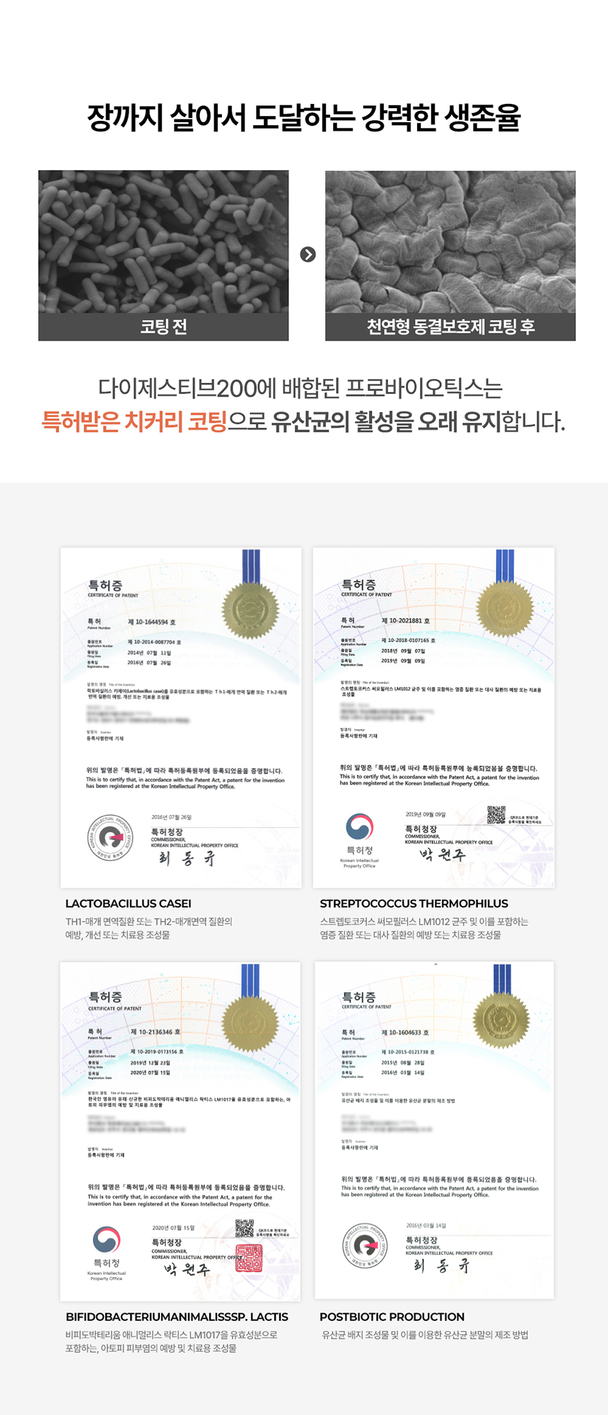 [NEW신상][무료배송] 닥터뉴트리코어 다이제스티브200 10개입 8번째