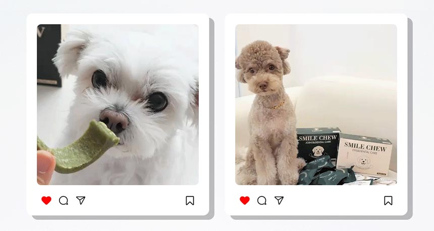 [체험단] [무료배송] 테일스마일 독 저알러지 덴탈껌 스마일츄 브라이트 (눈&치아) 1p 13번째 상세 이미지