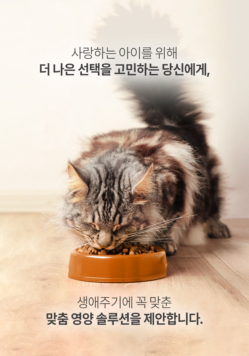 인디고 에이지뉴트리션 어덜트 7+ 포 캣 1.2kg 1번째