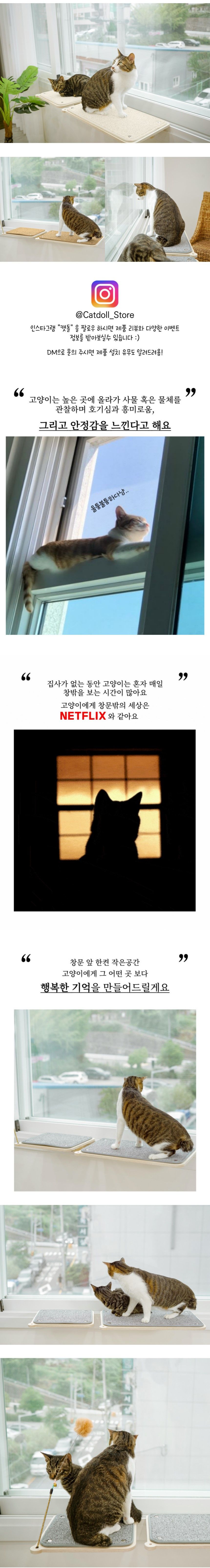 [웰컴딜] [무료배송] 캣돌 고양이 창문 선반 캣타워 냥틀 3번째