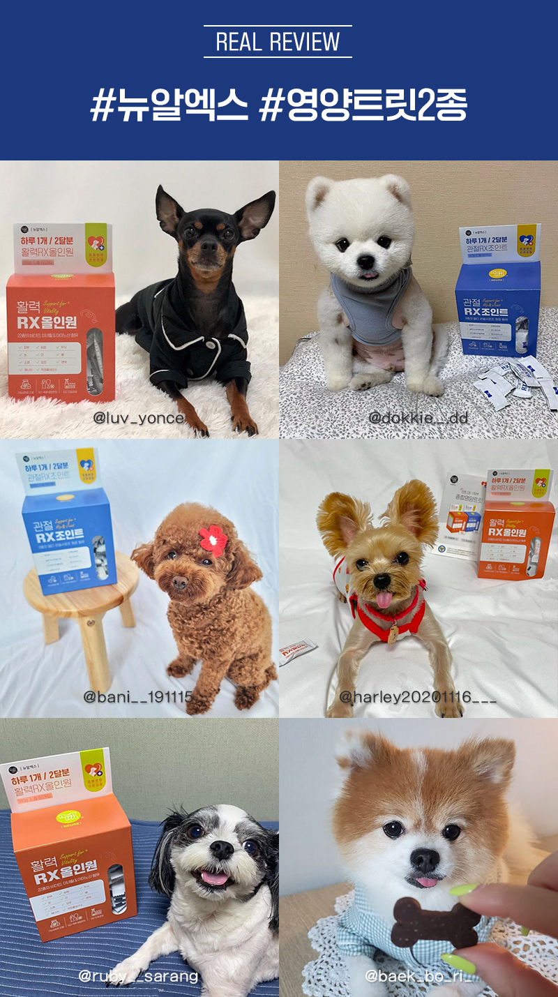 [NEW신상][무료배송] 뉴알엑스 활력 RX 올인원 60개입 180g 6번째