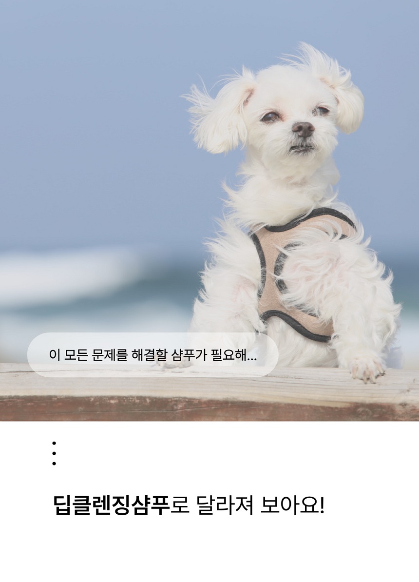 [NEW신상][무료배송] 젠트웰브 딥클렌징 강아지샴푸 300ml 8번째
