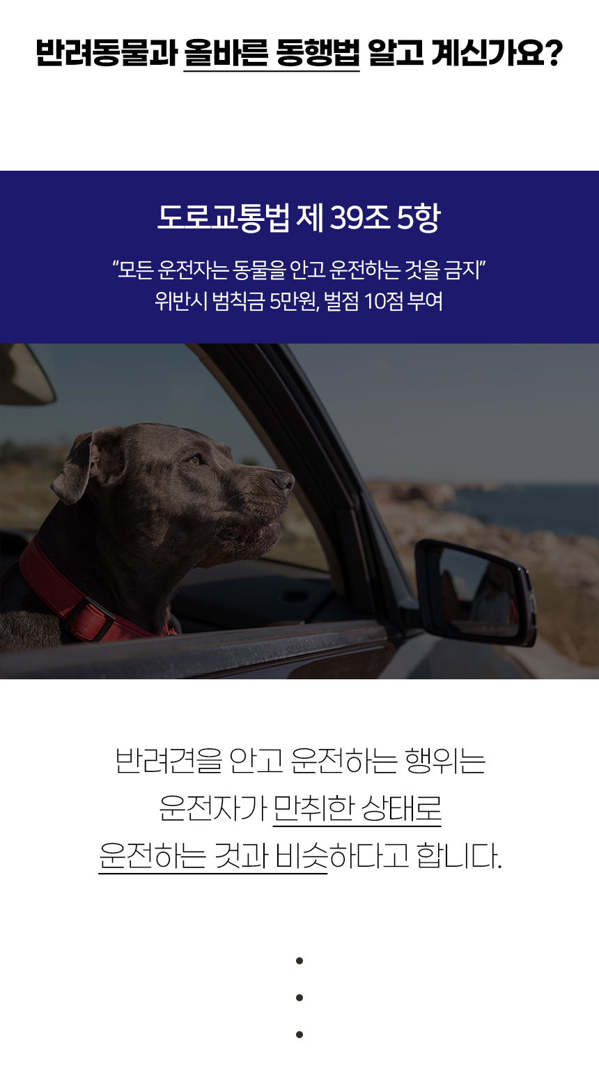 [NEW신상][무료배송] 개과천선 독 프리미엄 카시 카시트 (아이보리/카키/그레이) 2번째