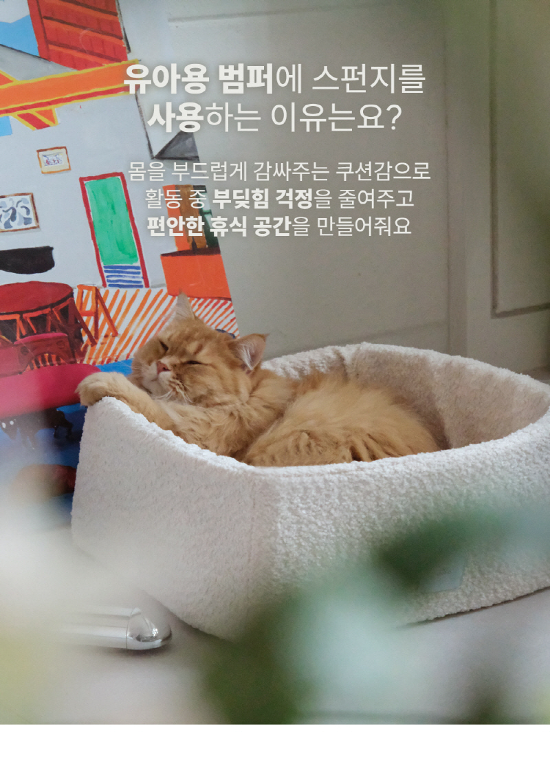[NEW신상][무료배송] 모우스튜디오 냥범퍼 박스 6번째
