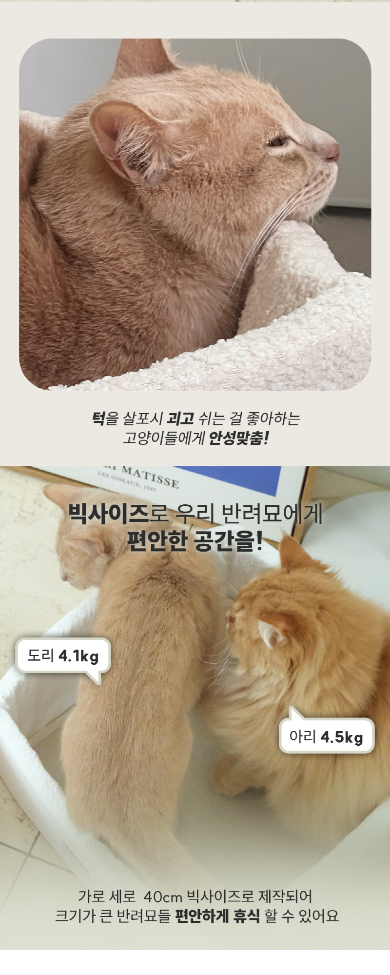 [NEW신상][무료배송] 모우스튜디오 냥범퍼 박스 8번째