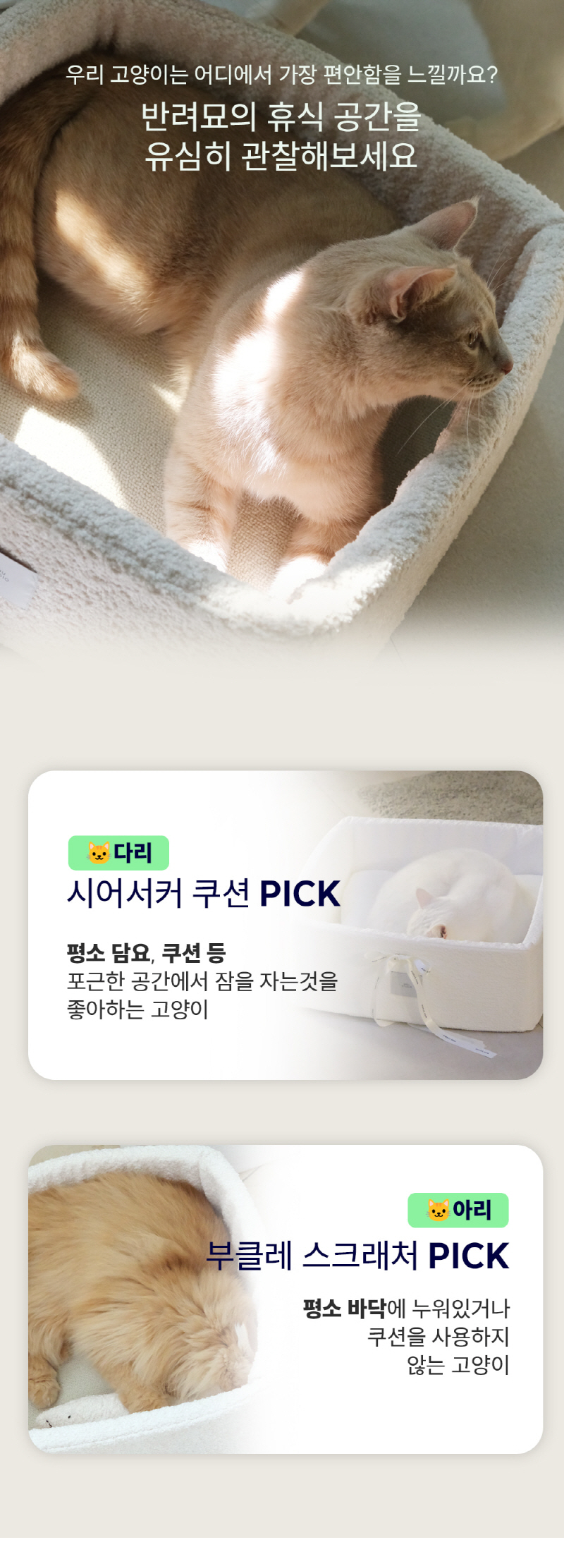 [NEW신상][무료배송] 모우스튜디오 냥범퍼 박스 14번째
