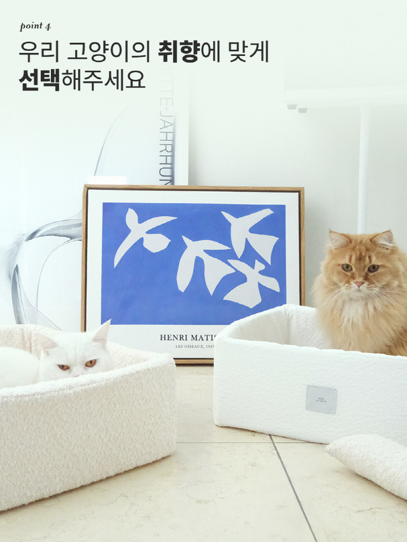 [NEW신상][무료배송] 모우스튜디오 냥범퍼 박스 12번째