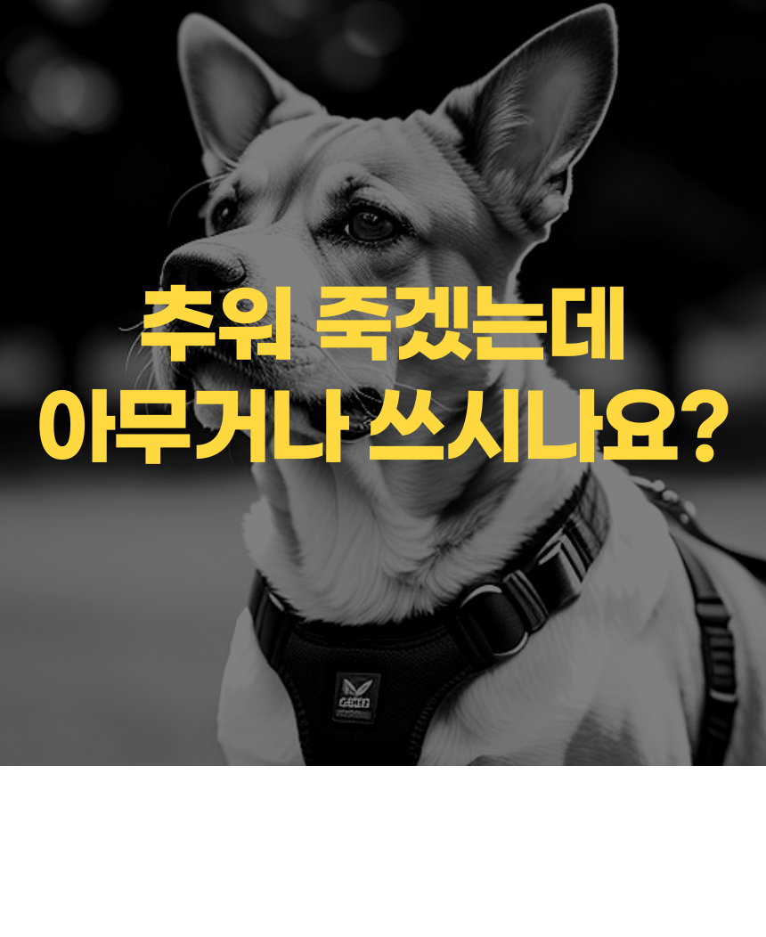[무료배송] 알뜰펫 킹따뜻 하네스 1번째