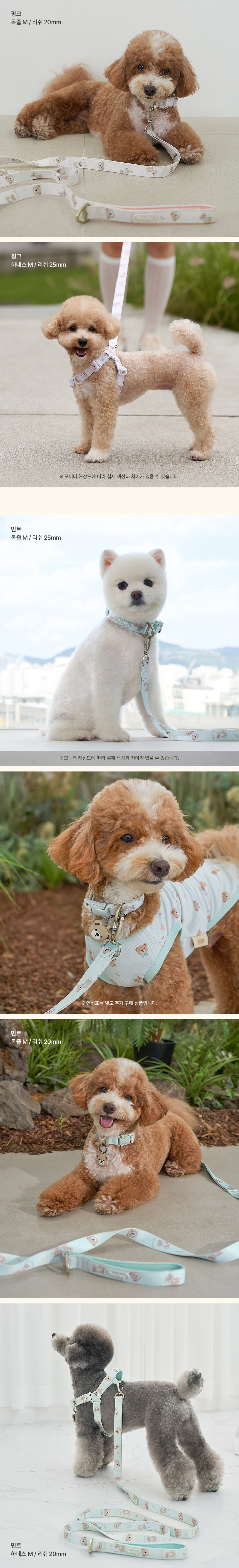 [NEW신상][무료배송] 베일리펫 강아지 산책 초경량 웨빙 테디 워키 리드줄 20mm/25mm (민트/핑크/아이보리) 6번째