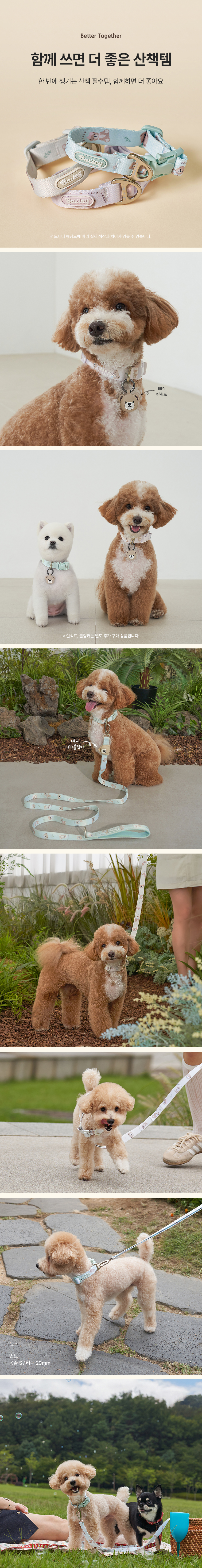 [NEW신상][무료배송] 베일리펫 강아지 산책 초경량 웨빙 테디 워키 리드줄 20mm/25mm (민트/핑크/아이보리) 7번째