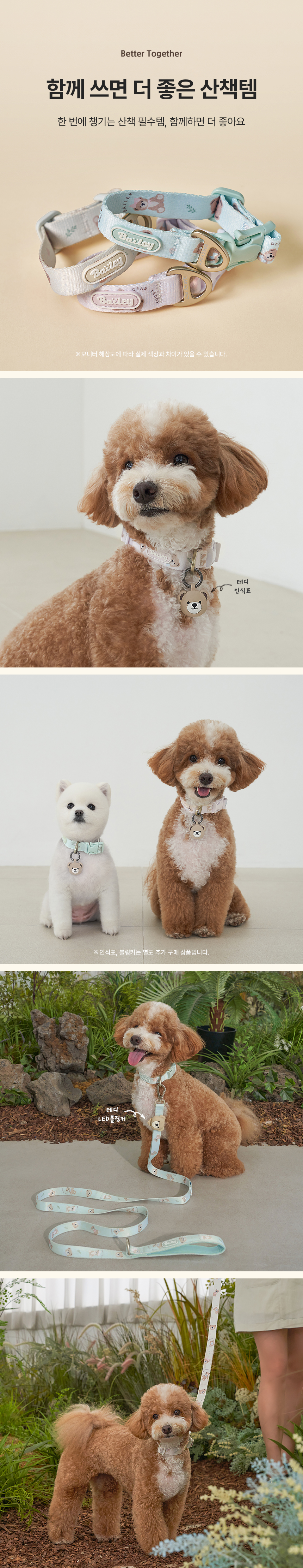 [NEW신상][무료배송] 베일리펫 강아지 산책 초경량 웨빙 테디 워키 리드줄 20mm/25mm (민트/핑크/아이보리) 6번째
