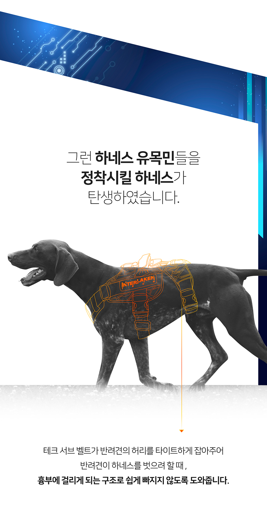 [무료배송] 니즈더펫 인터라켄 테크 하네스 XXS-XL 18번째