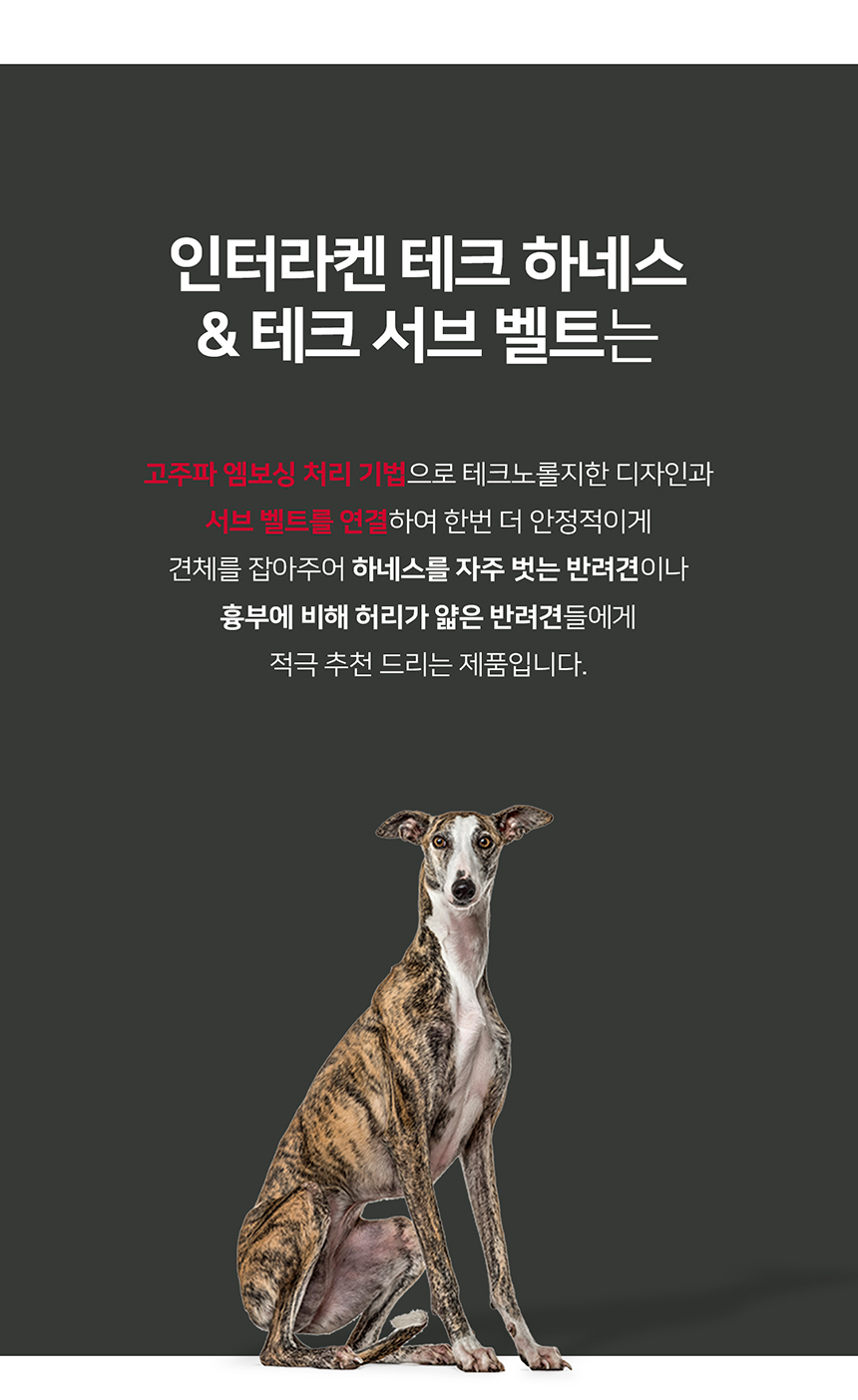 [무료배송] 니즈더펫 인터라켄 테크 하네스 XXS-XL 5번째