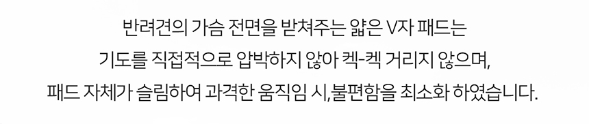 [무료배송] 니즈더펫 인터라켄 테크 하네스 XXS-XL 14번째