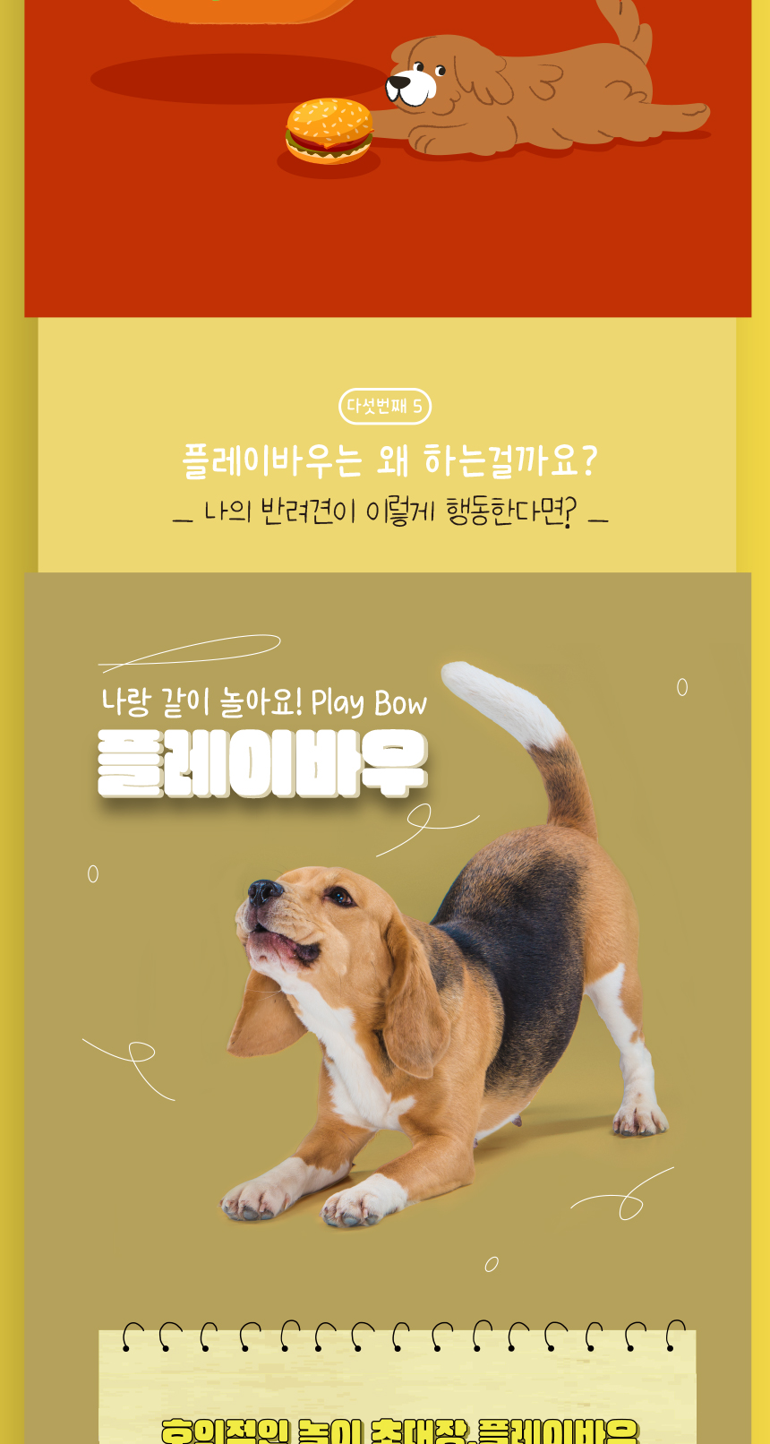 [무료배송] 애구애구 햄버거 노즈워크 4종세트 12번째