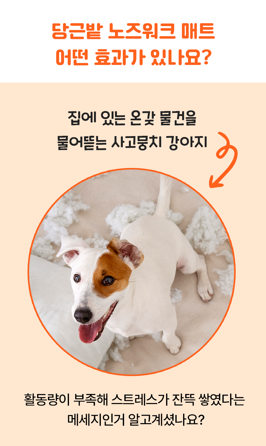 리치독스 당근밭 노즈워크 매트 장난감 4번째