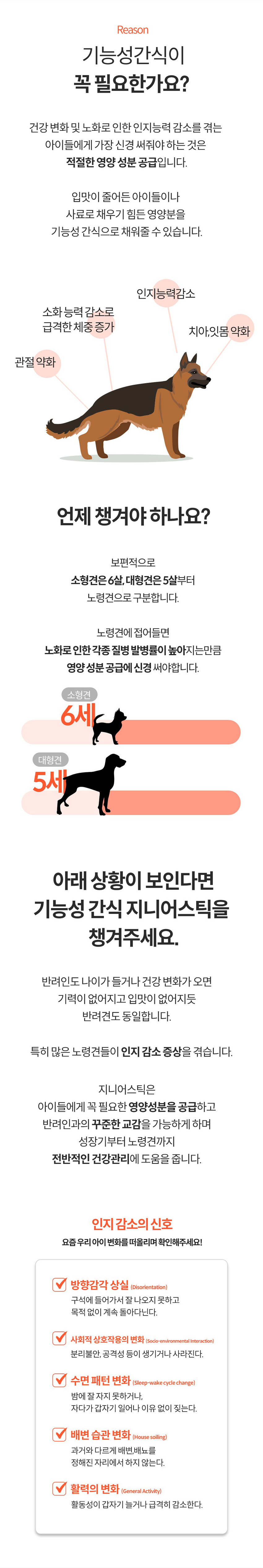 [NEW신상][무료배송] [2개] 미펫 독 찢어먹는 지니어스틱 15p 6번째