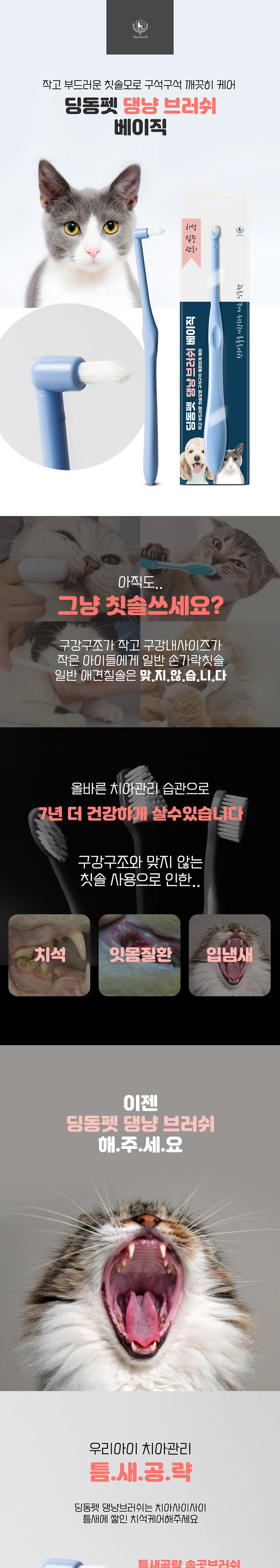 [무료배송] 딩동펫 반려동물 치석제거 댕냥브러쉬 베이직/프리미엄 5개 2번째