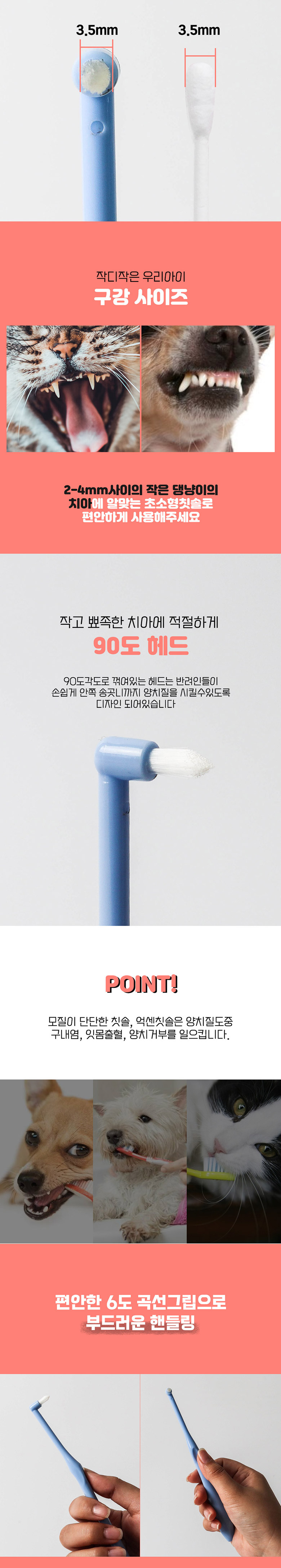 [무료배송] 딩동펫 반려동물 치석제거 댕냥브러쉬 베이직/프리미엄 5개 4번째