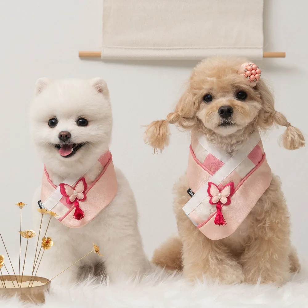 [무료배송] 베일리펫 강아지 명절 항균 다온 한복 케이프 산호빛/은빛/초록빛/푸른빛 S-3XL