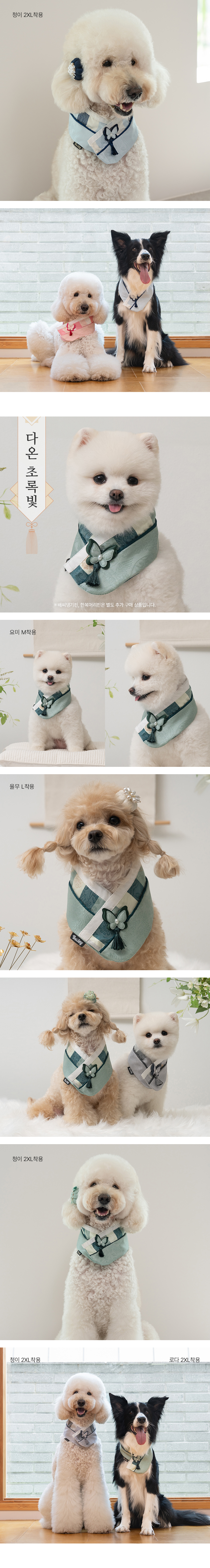 [무료배송] 베일리펫 강아지 명절 항균 다온 한복 케이프 산호빛/은빛/초록빛/푸른빛 S-3XL 4번째