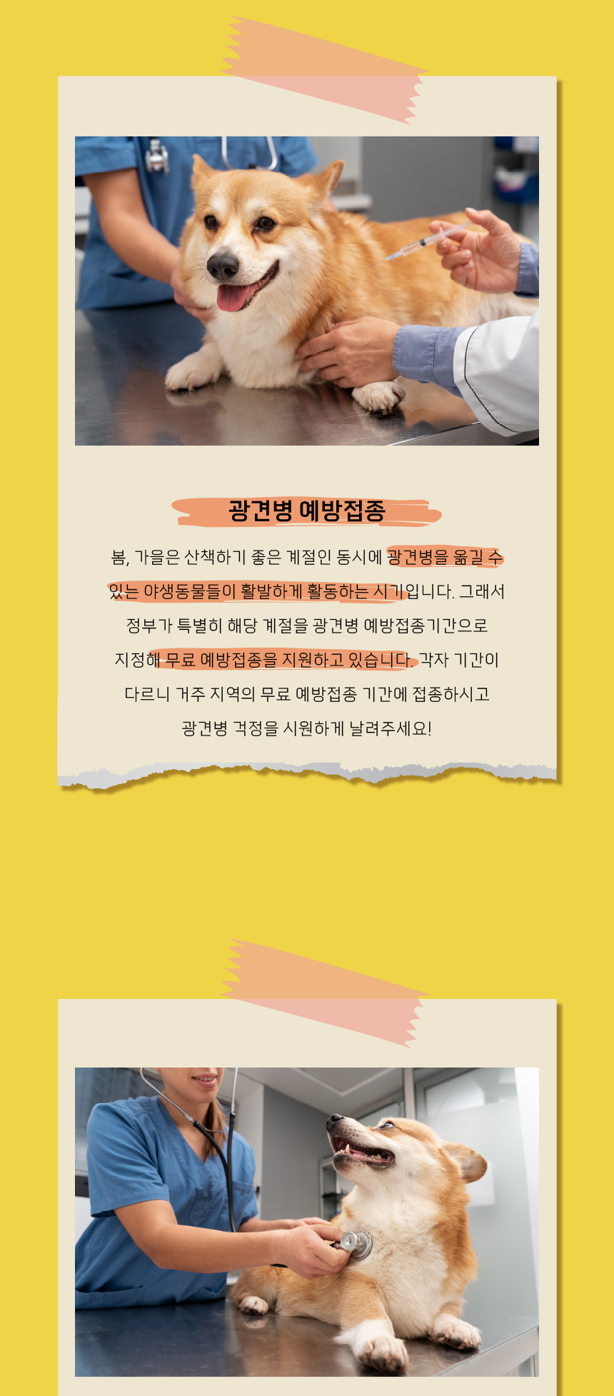 [무료배송] 애구애구 와플베어 멜빵원피스 오렌지/퍼플/레몬  S-2XL 7번째