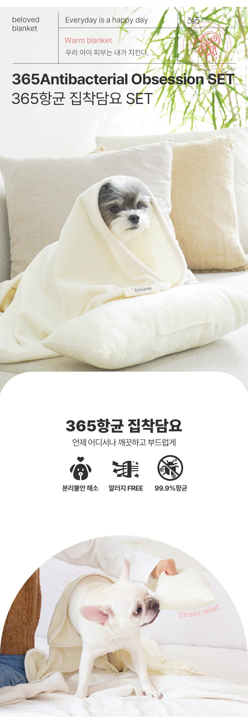 [무료배송] 초코펫하우스 365항균 집착담요 베개 SET 1번째