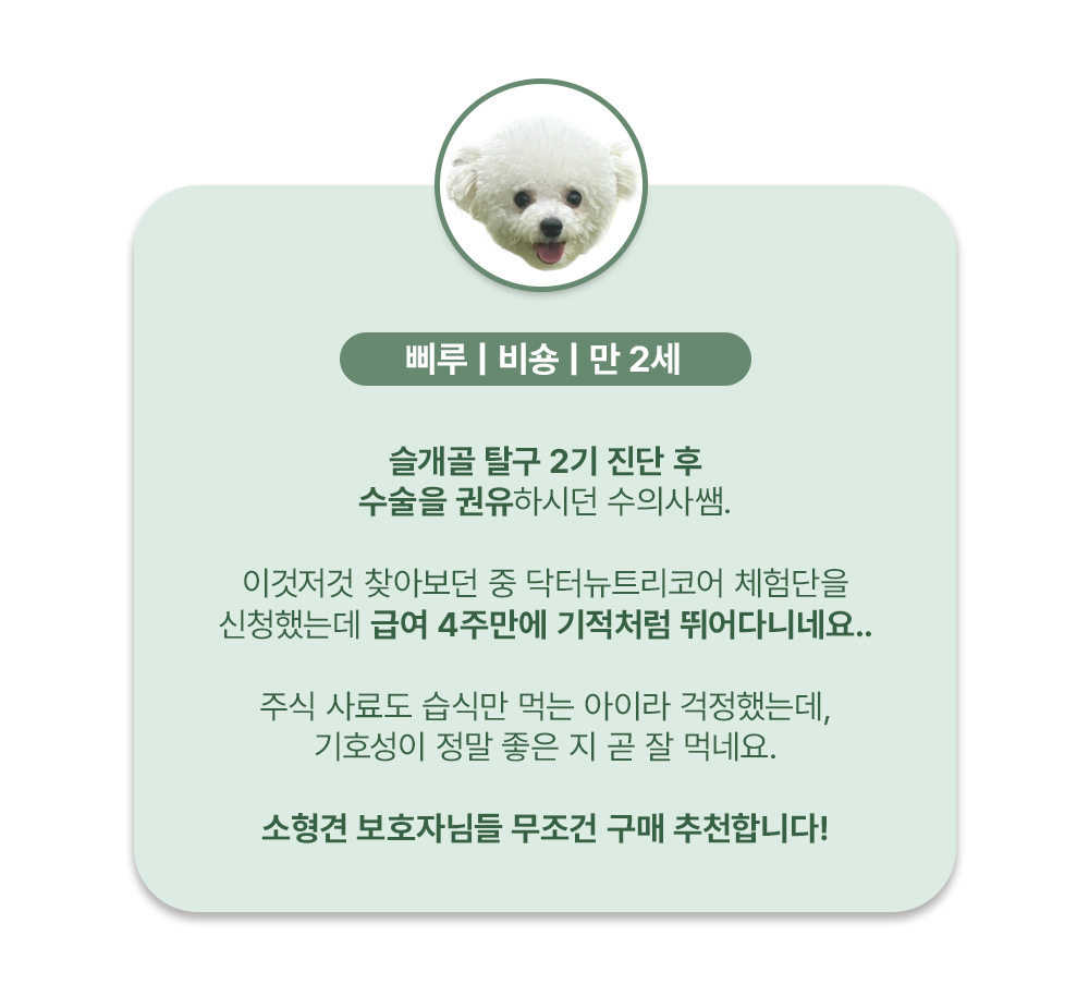 [무료배송] 닥터뉴트리코어 보스웰리아100*15ea 12번째