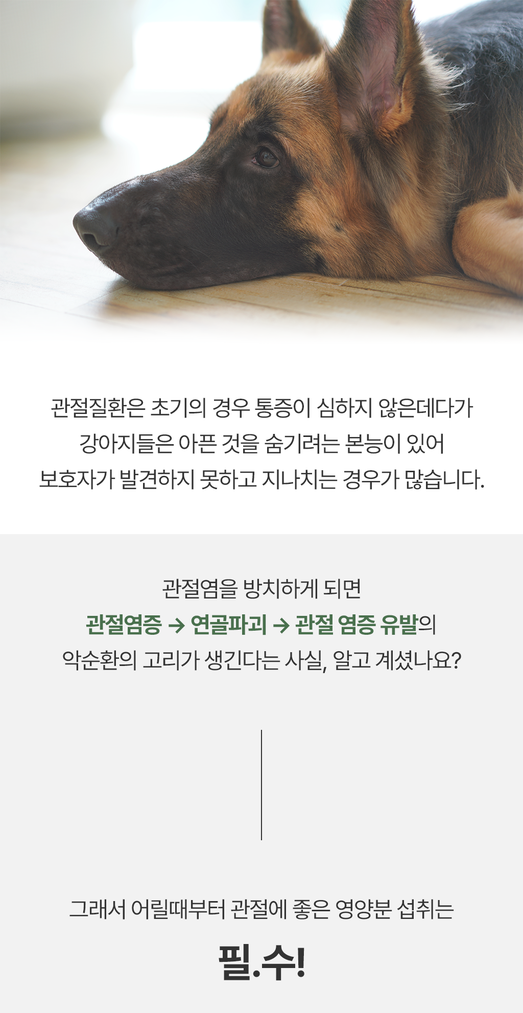 [무료배송] 닥터뉴트리코어 보스웰리아100*15ea 20번째