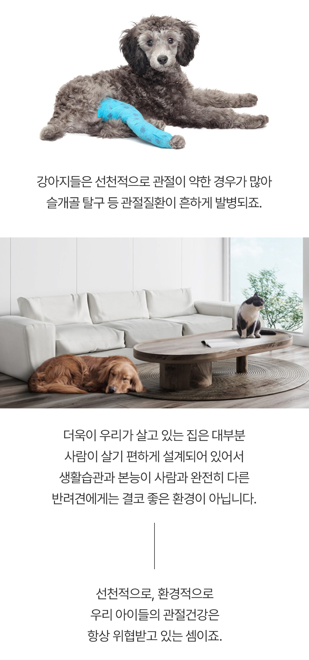 [무료배송] 닥터뉴트리코어 보스웰리아100*15ea 19번째