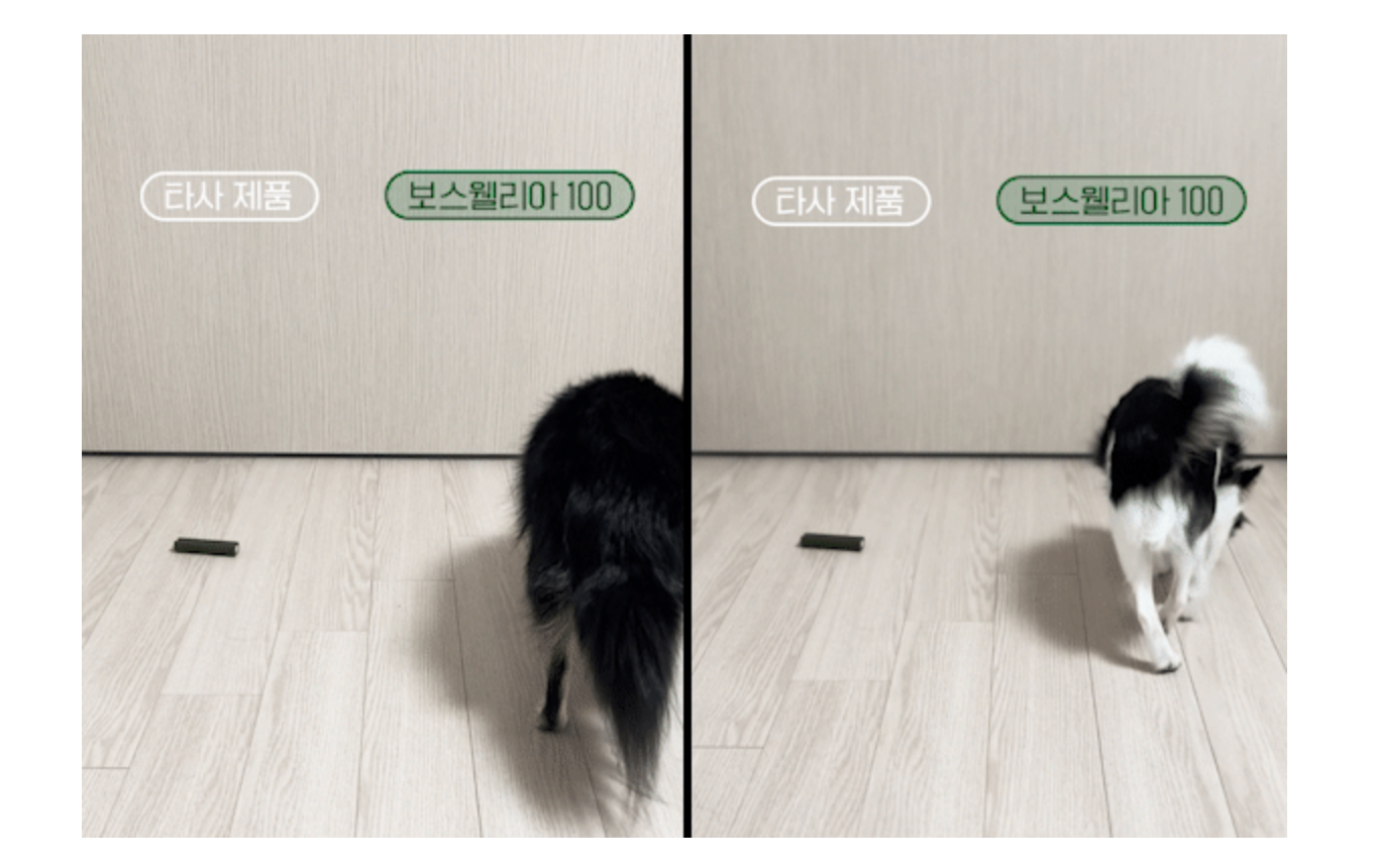 [무료배송] 닥터뉴트리코어 보스웰리아100*15ea 5번째