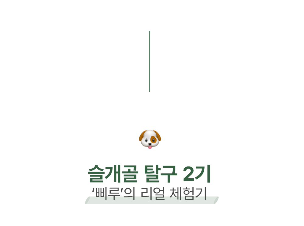 [무료배송] 닥터뉴트리코어 보스웰리아100*15ea 11번째